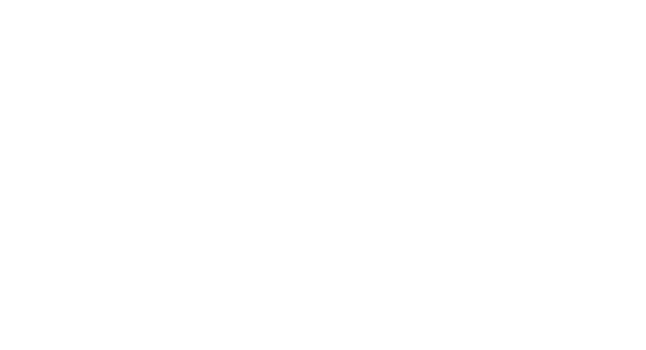 VW&S Group